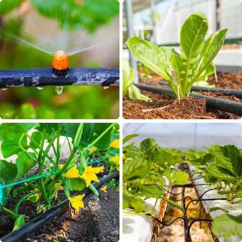 Arfun 28P drip irrigation fittings kit close-up: orange emitter on black tubing
Arfun 28P drip irrigation kit installed along plant bed with tubing
Arfun 28P drip irrigation fittings kit near cucumber vines and yellow flowers
Arfun 28P drip tubing with connectors in greenhouse among leafy plants
