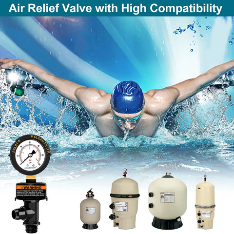 Air relief valve with pool filter pressure gauge (60 psi) shown beside pool filter tanks.