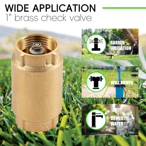 1-inch brass check valve with backflow preventer for irrigation, 1-inch FNPT x 1-inch FNPT, no-lead brass