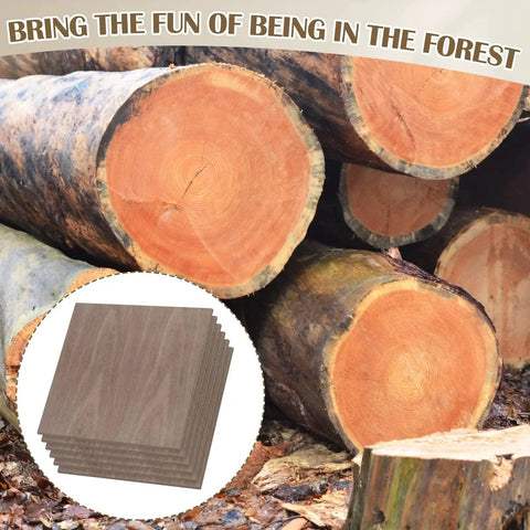 12 Pack Walnut Unfinished Wood Sheets 12 x 12 x 1 Eighth Inch 3mm Thick For Laser Cutting And Engraving with tree logs.