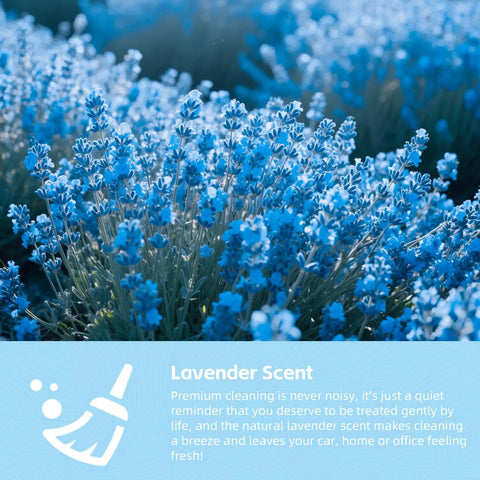 Blue lavender flowers representing the scent in the Car Cleaning Gel For Vents And Interiors Universal Dust Cleaning Putty For Auto Detailing Car Interior Cleaning Kit 160g Blue ColorCoral.