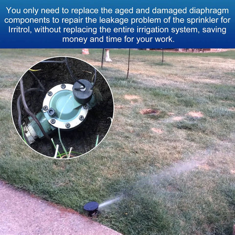 Sprinkler diaphragm replacement for Irritrol 205 series valve; green body with silver bolt ring and black solenoid cap