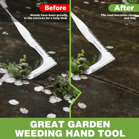 Crack Weeder 12 Inch Stainless Steel Crevice Tool With Ash Wood Handle L Shaped Sidewalk Weed Puller shown in use for moss removal
