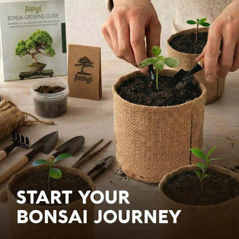 Person planting seedling using Beginner Bonsai Starter Kit With 5 Unique Japanese Bonsai Tree Seeds Complete Indoor Bonsai Growing Set