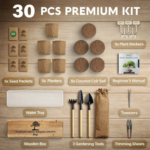 Beginner Bonsai Starter Kit With 5 Unique Japanese Bonsai Tree Seeds Complete Indoor Bonsai Growing Set With Tools And Planters layout