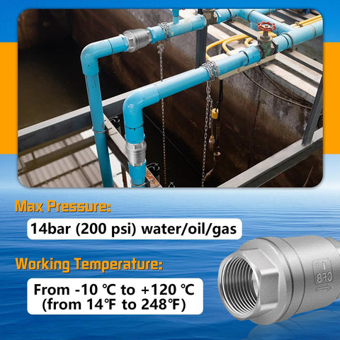 1-inch stainless steel spring check valve installed on blue water pipe, inline horizontal installation
