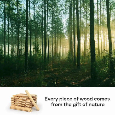 Misty forest setting with tall spruce trees, wooden planks displayed in corner, text reading 'Every piece of wood comes from the gift of nature.'