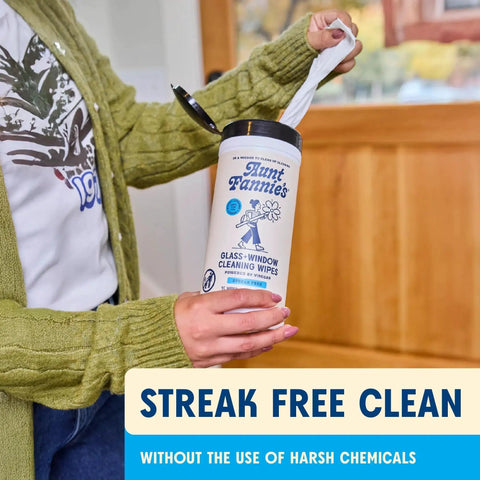 Person holding a container of Streak Free Glass And Window Cleaning Wipes With Vinegar Plant Based Cleaners