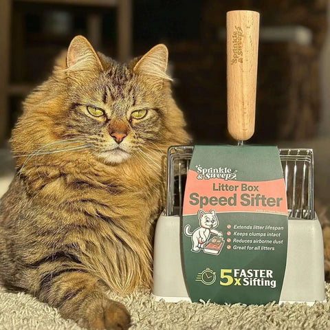 5X Faster No Shake Metal Cat Litter Scoop With Stainless Steel Sifting Design And Holder next to fluffy brown cat on carpet