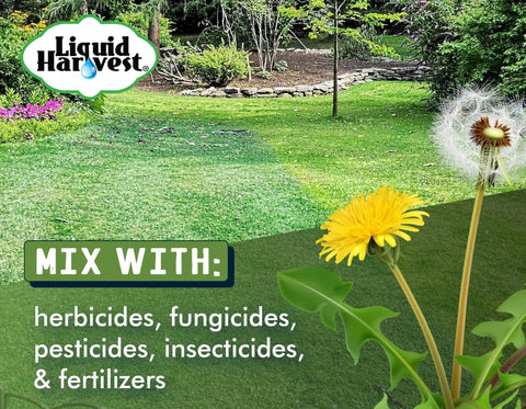 Lawn showing sprayed area using Lazer Green Lawn Spray Indicator Dye For Water Based Solutions 1 Gallon 128 Ounces