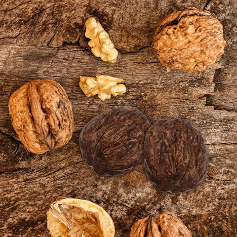 24Pcs Realistic Artificial Walnut Nuts Miniature Faux Fruit Photo Props For Home Table Display Staging And Food Styling