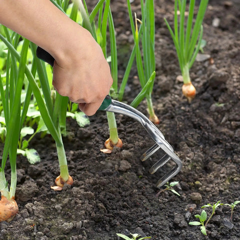 Eleven And A Half Inch Hand Rake For Weeding And Soil Turning With Three Prong Metal Cultivator For Garden Beds And Plots Easy Grip