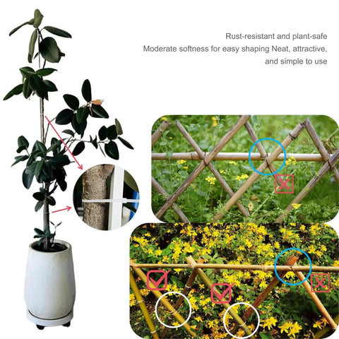 Plant supported by bamboo stakes in a pot, close-up of tie application on stem; two images showing neat, rust-resistant bamboo fencing in gardens.