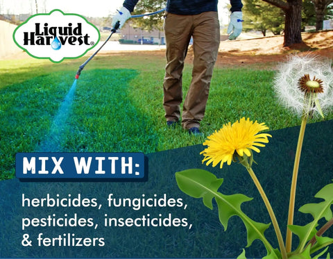 dye for herbicide spray turf spray dye marker for Turf and Lawns 32 oz 🍁 &ndas