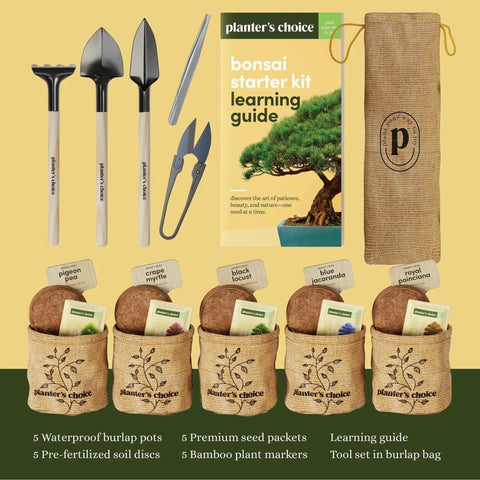 Bonsai Starter Kit With Five Varieties Black Locust Blue Jacaranda Crape Myrtle Pigeon Pea Delonix Regia All In One Deluxe