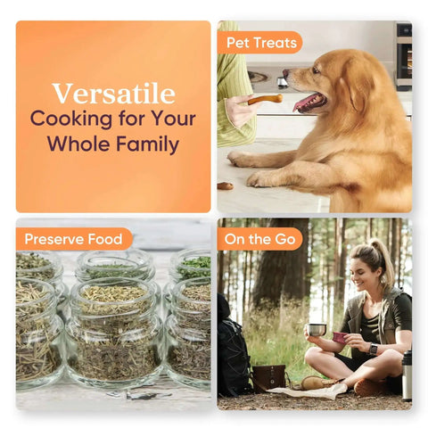 Collage showing food dehydrator uses for pet treats, preserving herbs, and on-the-go snacks