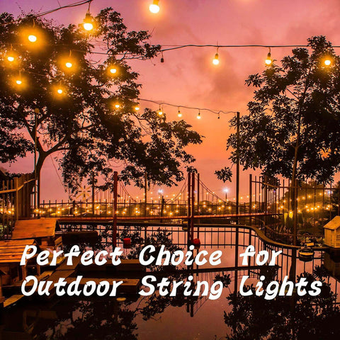 Outdoor string lights hanging in a garden at sunset, creating a warm ambiance