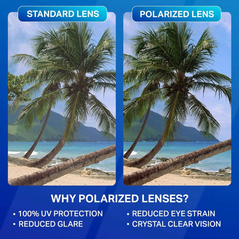 Comparison of standard and polarized lenses showing beach with palm trees; polarized lens offers clearer vision and reduced glare.