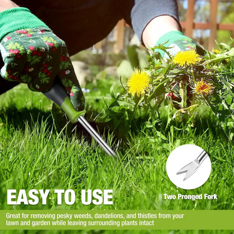 Gloved hands using 11.5 Inch Dandelion Weeder Puller Tool With Soft Grip Handle Stainless Steel Two Pronged Weeding Fork For Lawn Garden Farmland And Plant Beds Easy Root Removal on dandelions.