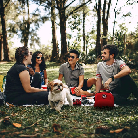 Group enjoying picnic outdoors with 398-Piece Emergency First Aid Kit With Bonus Mini Backpack visible, emphasizing safety.