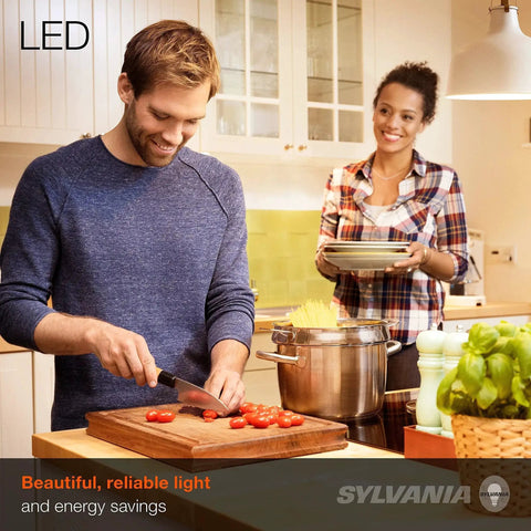 Eco LED Light Bulb A19 9W Frosted White 750 Lumens Non Dimmable 8 Pack 2700K used in a modern kitchen setting