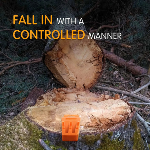 6 Pack Tree Felling Wedges With Spikes For Safe Chainsaw Cutting on a tree stump, showing durable glass fiber material.