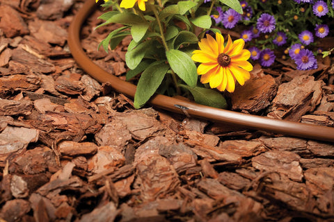 Amazon brown 1/2-inch drip irrigation tubing on mulch beside yellow and purple flowers