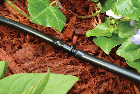 Drip irrigation 1/4-inch barbed coupling on black tubing installed in garden mulch