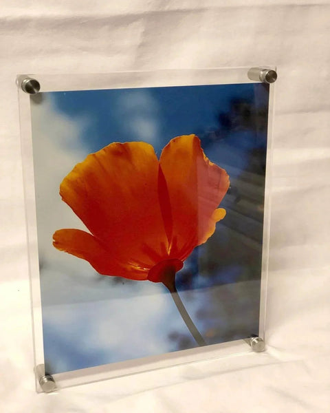 Acrylic frame with orange flower photo mounted using Half Inch Diameter Two Inch Stainless Steel Sign Standoffs Screws on white background.