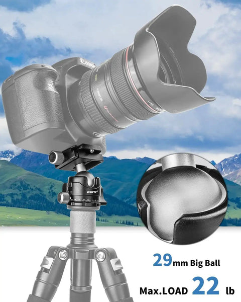 Camera on Arca Swiss Quick Release Ball Head with 360 Degree Swivel and 90 Degree Tilt, showing 29mm ball diameter, tripod mount
