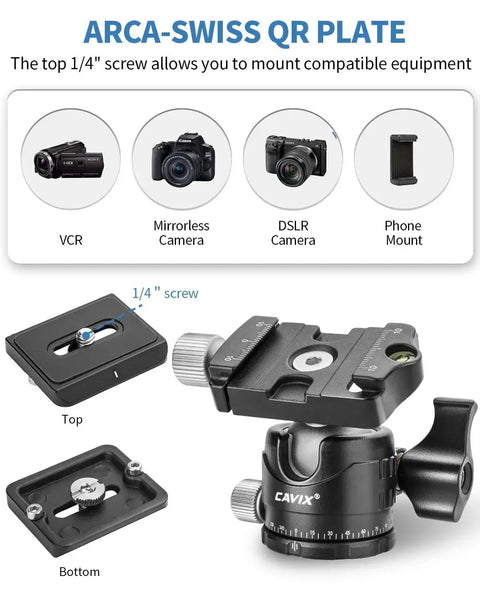 Arca Swiss Quick Release Ball Head with one quarter inch screw, showing top and bottom view, compatible with various cameras.