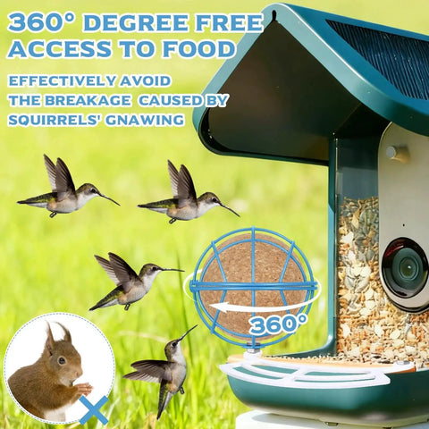 Two Pack Metal Suet Ball Holders For Bird Buddy Smart Feeders with birds feeding, squirrel deterrent features, and 360-degree access.