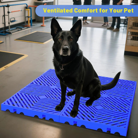 Dog sitting on Nestable Plastic Pallets For Basement And Warehouse Storage Ten Pack 23.6x11.8x1.18 Inches Blue HDPE