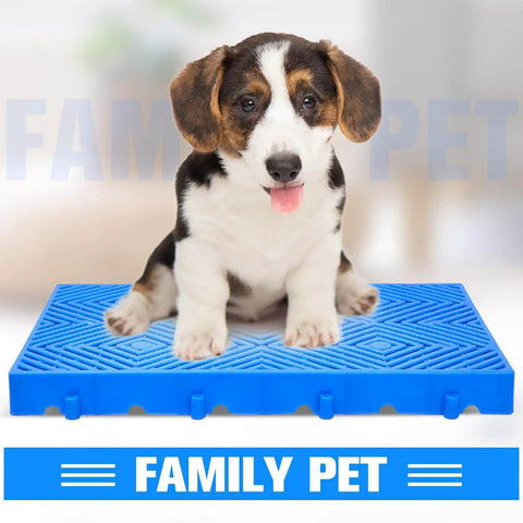 Puppy sitting on a blue grid ventilation floor pallet with 'Family Pet' text in the background.