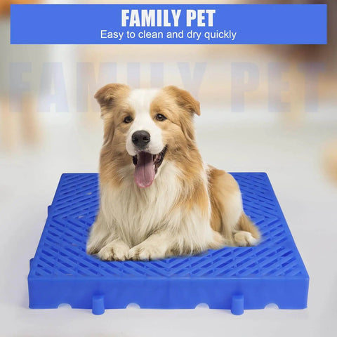 Dog sitting on blue ventilated plastic grid mat, labeled 'Family Pet', highlighting easy cleaning and quick drying features.
