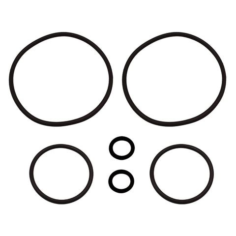 Dual Vanos Anti Rattle Kit With Needle Bearings For BMW 1998 2006 M52tu M54 M56 Six Cylinder Engines O-rings