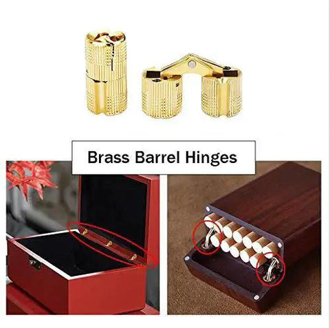 12 Pcs Brass Barrel Hinges For Concealed Cabinets 10mm Hidden Hinges For Jewelry Boxes and Cabinets