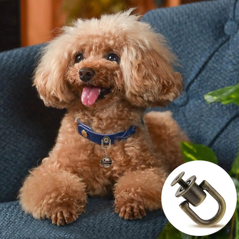 Poodle wearing a collar with a focus on 12 Pcs Bronze D Ring Studs With Ball Head Buttons And Rivets Set for leather crafting projects