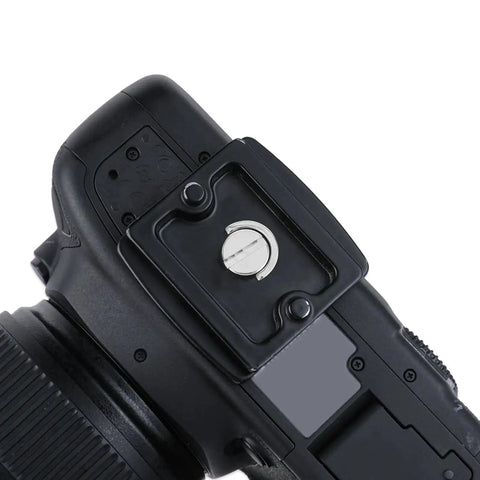 Camera with Two Pack One Quarter Twenty Thread D Ring Stainless Steel Camera Fixing Screws for tripod mounts and quick release plates
