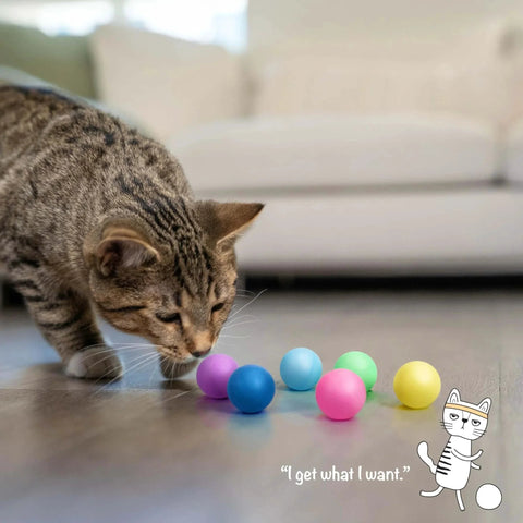 Cat playing with Replacement Balls for Cat Track Toys, Multiple Colors, 6 Pack, on hardwood floor, featuring colorful balls.