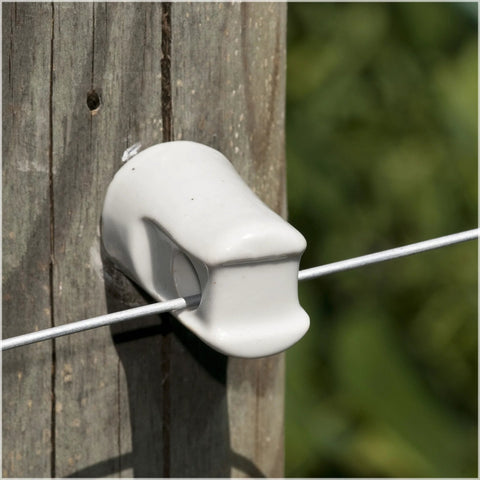 Zareba WP1933 lag-screw insulator, white ceramic, mounted on wood post with wire