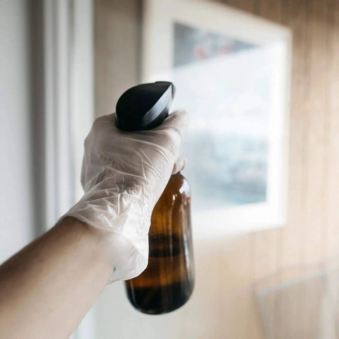 Clear Vinyl Gloves Latex Free Powderfree Food Safe Disposable Nonsterile holding spray bottle