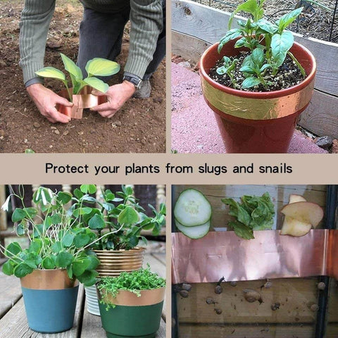 Copper Foil Tape With Double Sided Conductive Adhesive wrapped around pots for plant protection from slugs and snails outdoors.