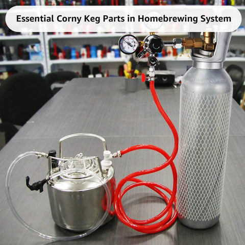 Ball Lock Keg Post Quick Disconnect Set For Corny Kegs Stainless Steel Homebrew Connectors with keg and gas cylinder