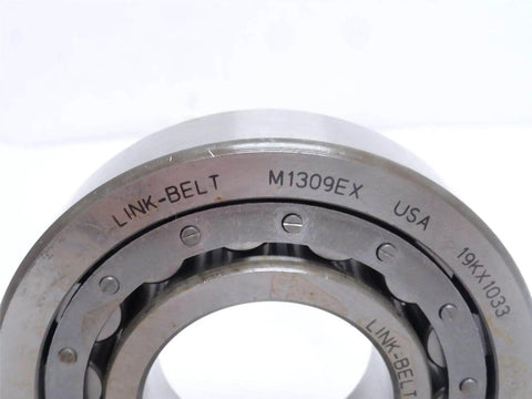 Industrial Cylindrical Roller Bearing 45mm ID X 100mm OD, 25mm Width, C0 Internal Clearance Rexnord MA1309EX close-up view