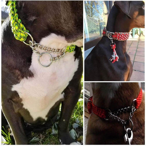 Close-up of a dog wearing collars made from heavy duty 2 inch macrame rings set built tough with welded O rings 50mm outer diameter.