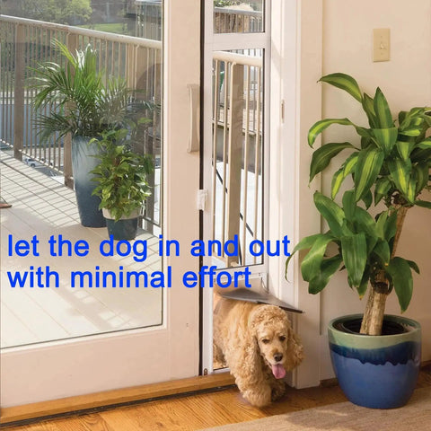 Dog using door opening on a sliding patio door with plants outside and inside.