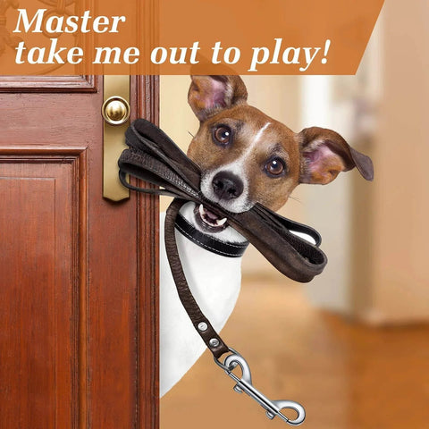 Dog holding leash with 20 Pieces 3.5 Inch Double Ended Bolt Snap Hooks Zinc Alloy With Double Trigger Chain Metal Clips For Key Holders