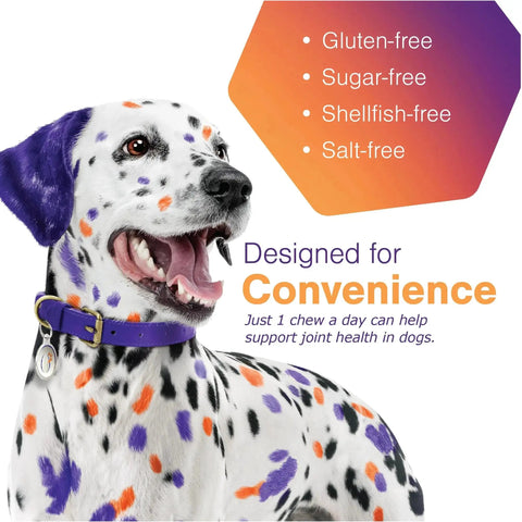 Dalmatian with purple and orange spots against gluten-free, sugar-free, shellfish-free, salt-free text for Movoflex Soft Chews.
