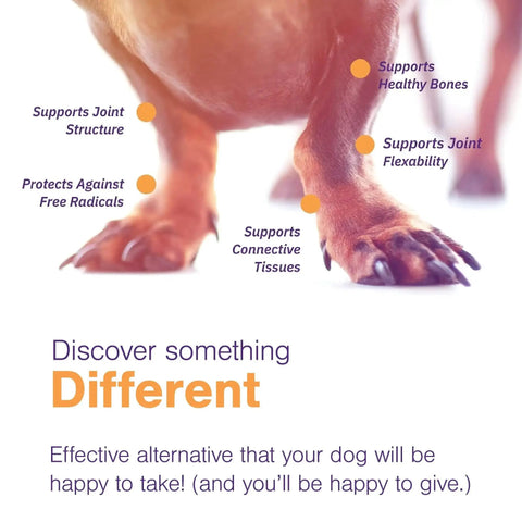 Dog paws depicted with benefits of Joint Support Soft Chews For Large Dogs 80 Lb And Up 120 Count MoVoFlex Daily Dose.